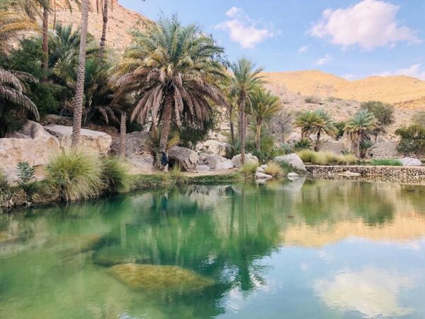 Rundreise Kontrastreicher Oman Wadi