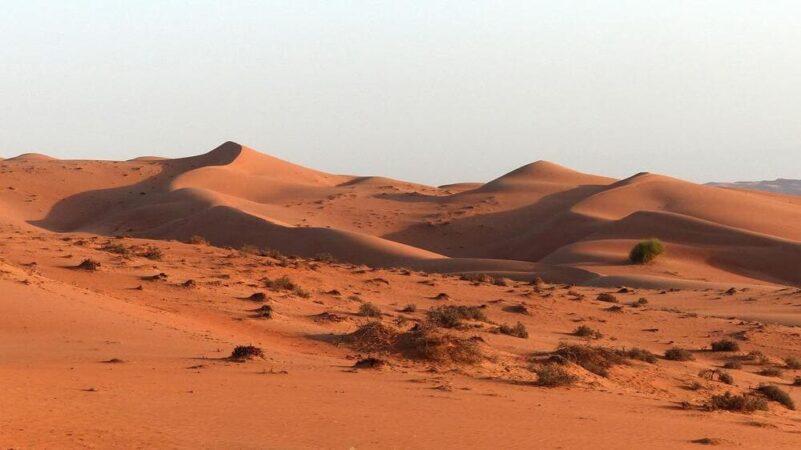 Rundreise Kontrastreicher Oman Wüste