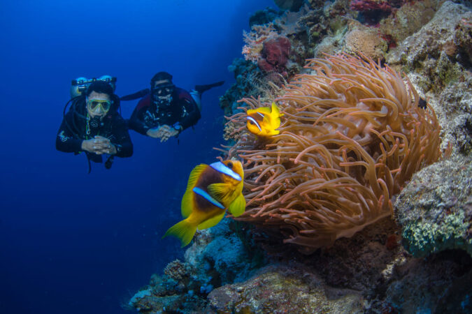 Extra Divers Sharm El Naga Tauchen Riff