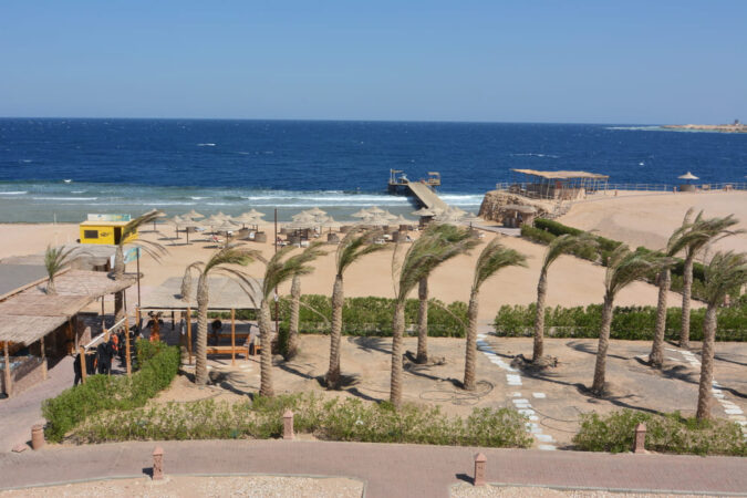 Viva Blue Resort Sharm el Naga Palmen am Strand