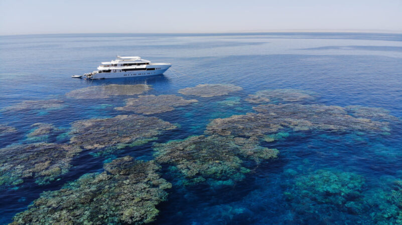 Blue Seas Tauchsafarischiff Ägypten Riff