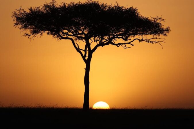 Masai Mara Safari Kenia Sonnenuntergang