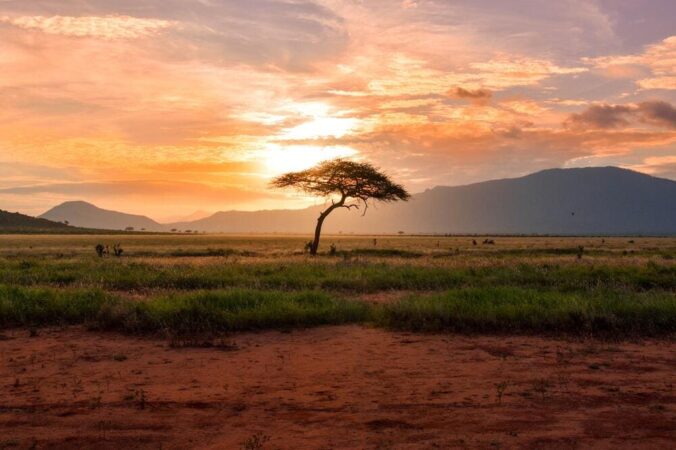Safari Kenia Tsavo Ost Nationalpark Sonnenuntergang