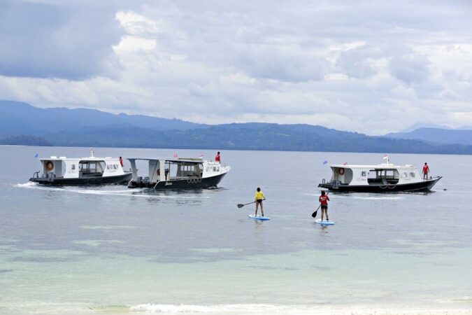 Indonesien Sulawesi Murex Bangaka