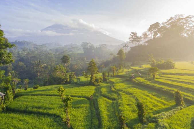 Rundreise Bali intensiv Reisfelder mit Blick auf den Mount Agung
