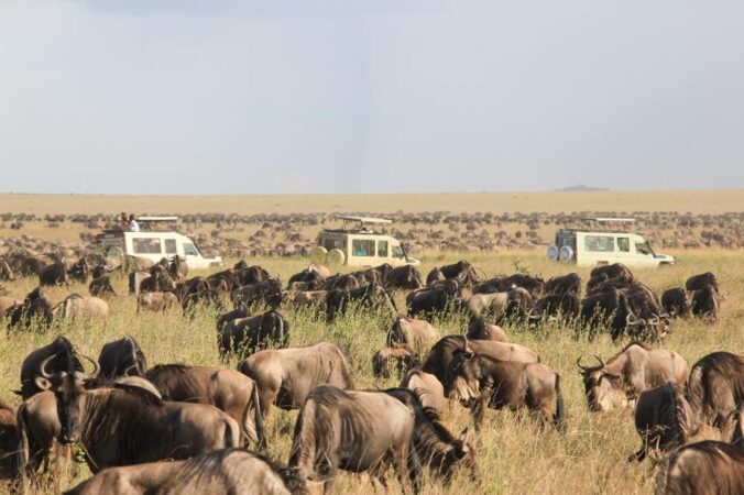 Rundreise Tansania Safari Abenteuer Great Migration Serengeti