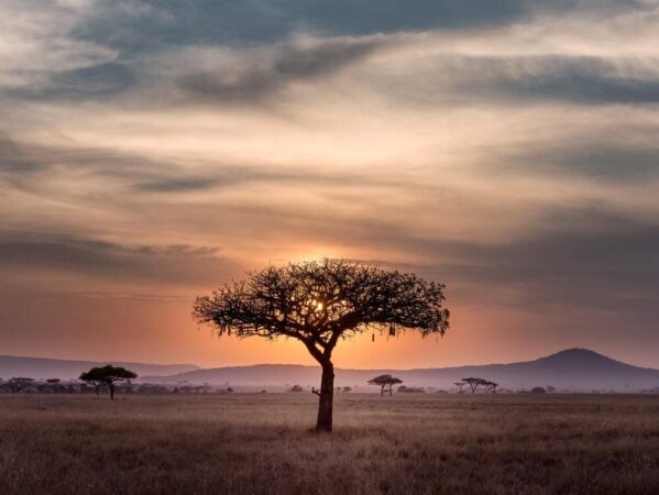 Rundreise Tansania Safari Abenteuer Serengeti Sonnenuntergang