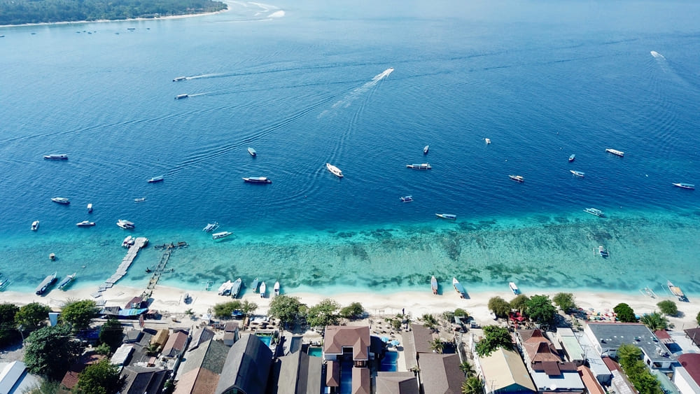 Dream Divers Gili Trawangan Reisecenter Federsee