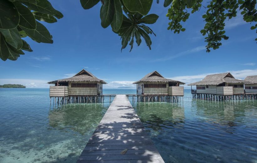 Papua Paradise Eco Resort - Messespecial