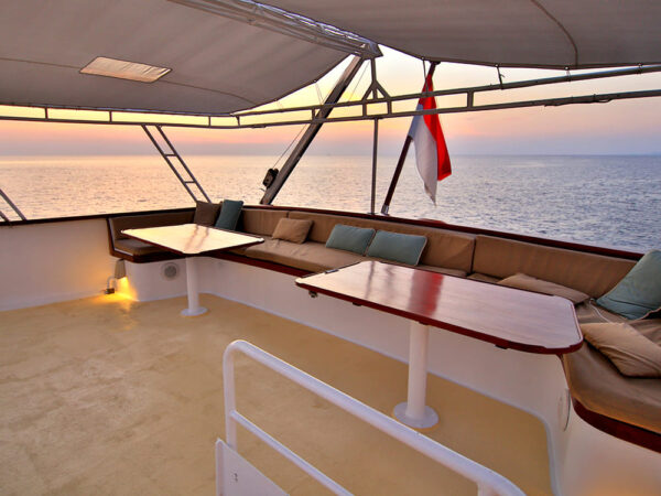 Tauchsafari Indonesien Pelagian Yacht Lounge Deck