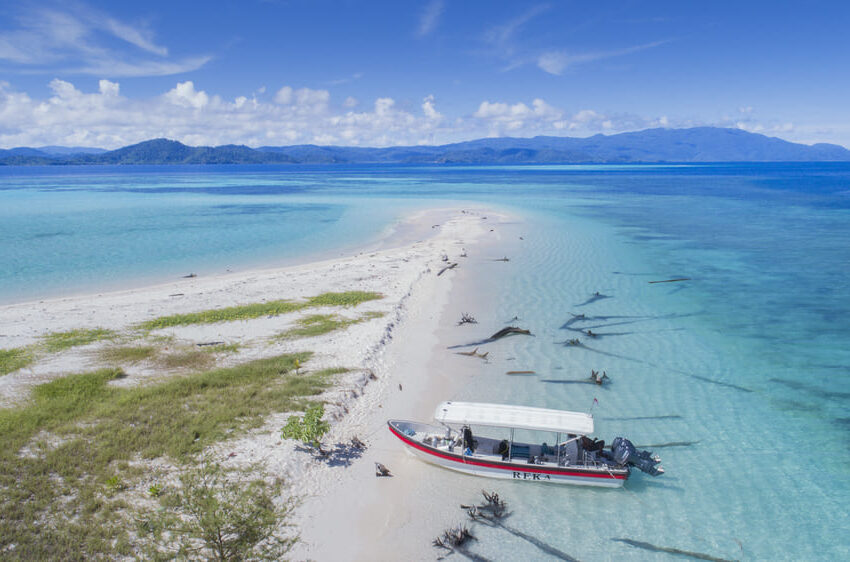 Papua Paradise Eco Resort Raja Ampat Tauchboot