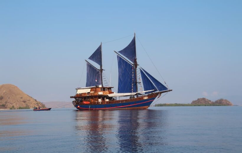 Moana - Messespecial