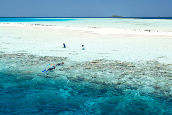 Filitheyo Island Resort - Malediven - Schnorcheln