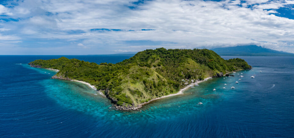 Apo Island - Tauchen Philippinen