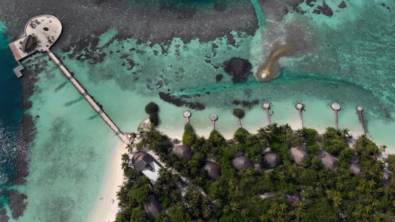 Nika Island Malediven - Riff