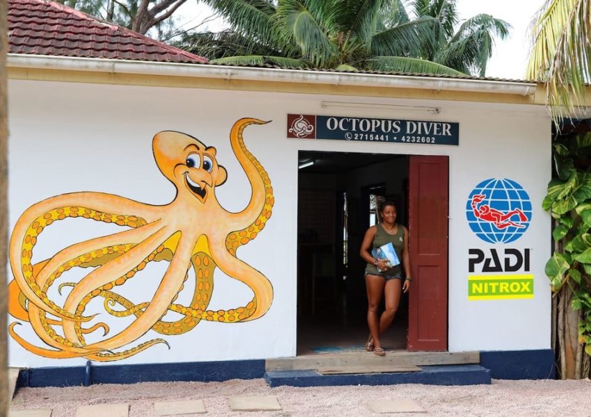 Octopus Diving Center Praslin