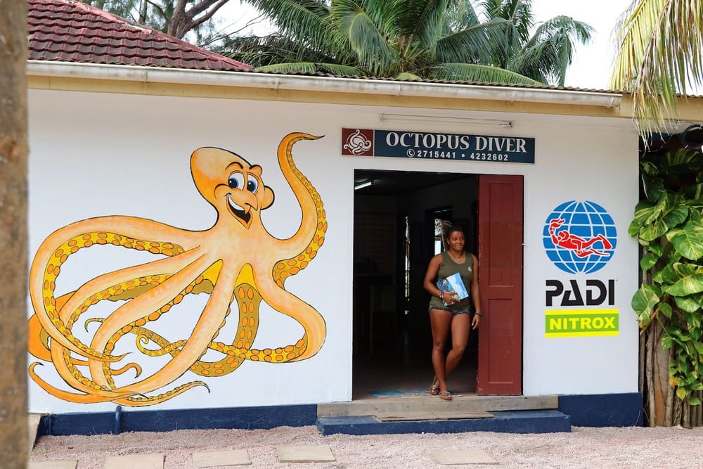 Octopus Diving Center Praslin Reisecenter Federsee
