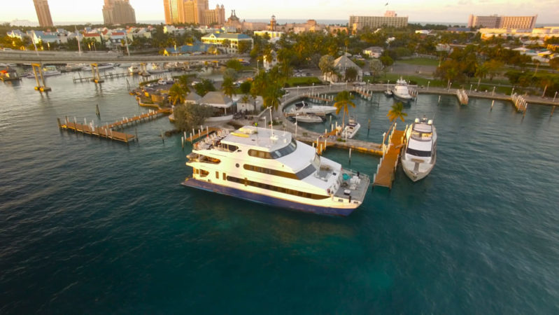 Aqua Cat Bahamas