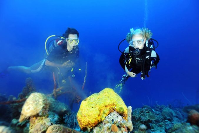 Go West Diving Tauchgang Unterwasser