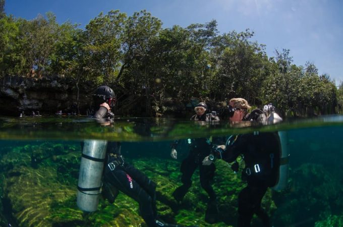 Pro Dive Mexico Cenote Taucher