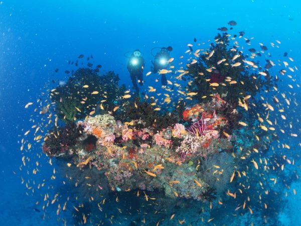 Dive Point Meedhupparu Tauchen Riff