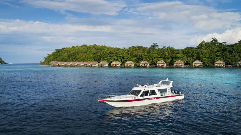 Papua Paradise Eco Resort Tauchboot und Bungalows