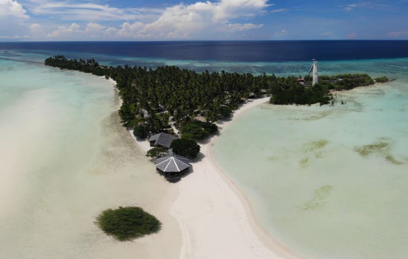 Virgin Coca Single Special