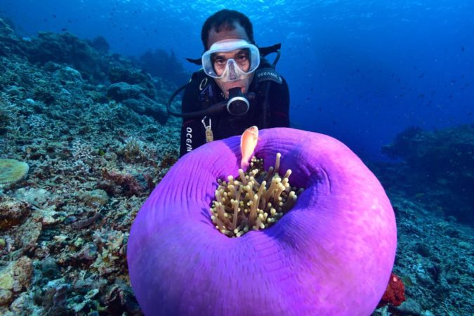 Tawali Resort Papua Neuguinea Unterwasser
