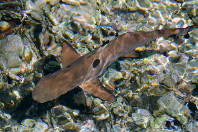 Spice Island Indonesien Molukken