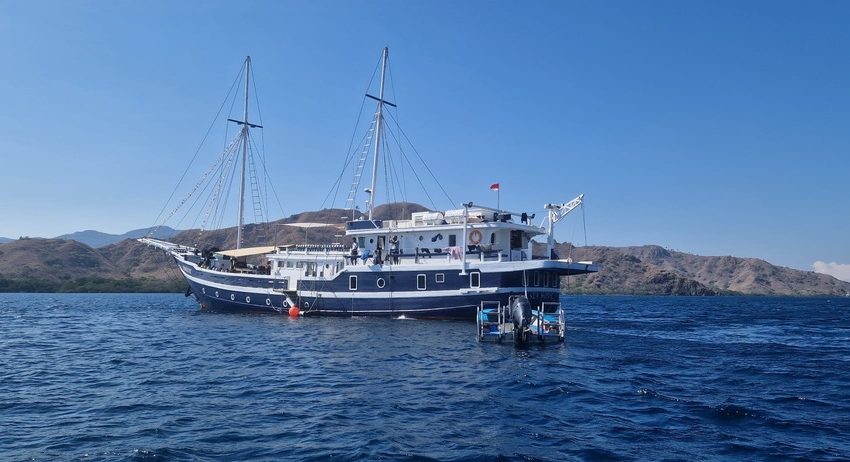 M/Y Seahorse Ansicht