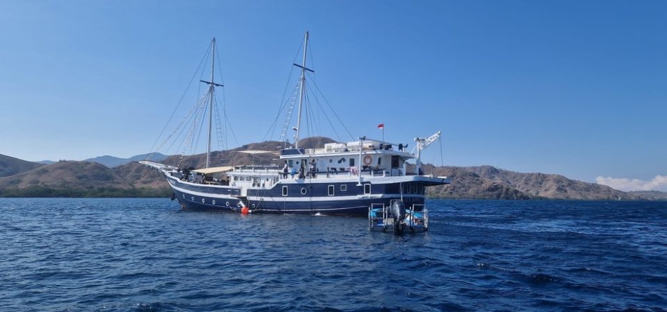 M/Y Seahorse Ansicht