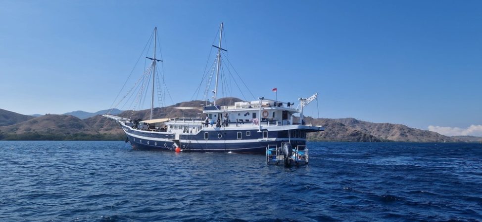 M/Y Seahorse Ansicht