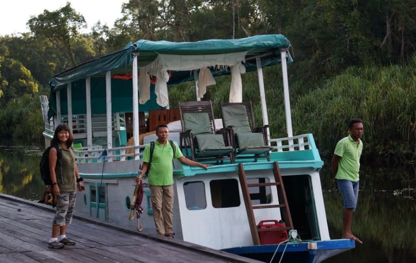 Orangutan-Tour: Abenteuer auf dem Hausboot