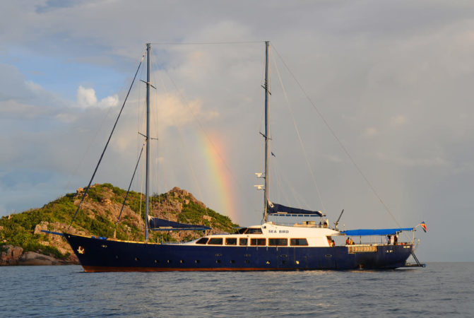 Seychellen Tauchsafari