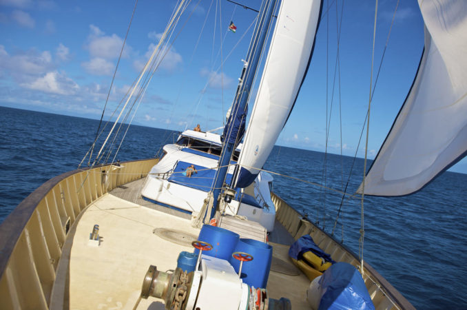 Seychellen Tauchsafari