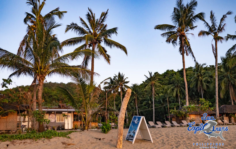 Sea Explorers Sipalay