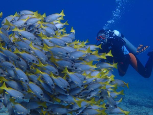 Kapverden Santa Maria Eco Dive School