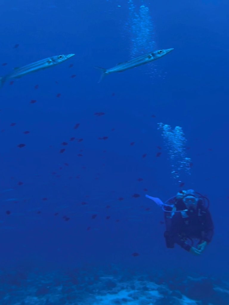 Caro taucht in Palau