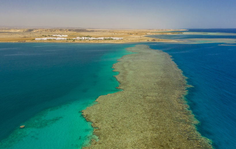 Extra Divers Lahami Bay