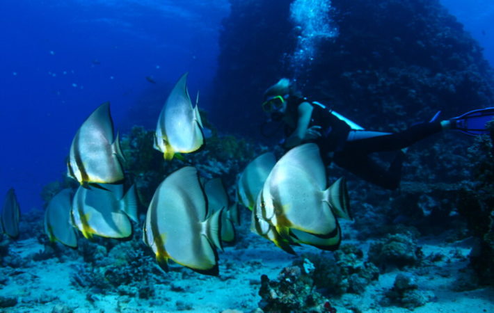 Extra Divers Lahami Bay