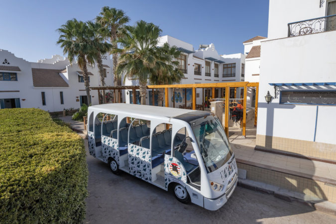 Bus