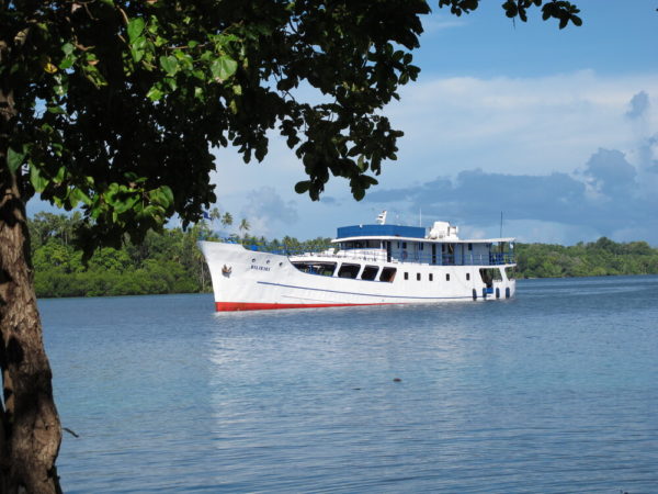 Emperor Bilikiki Ansicht Schiff