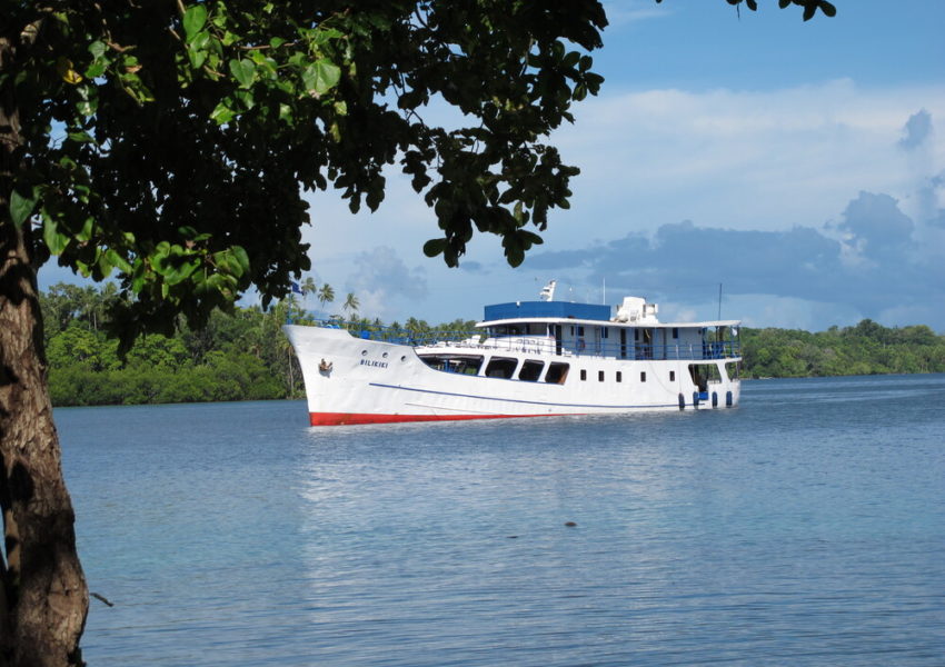 Emperor Bilikiki Ansicht Schiff