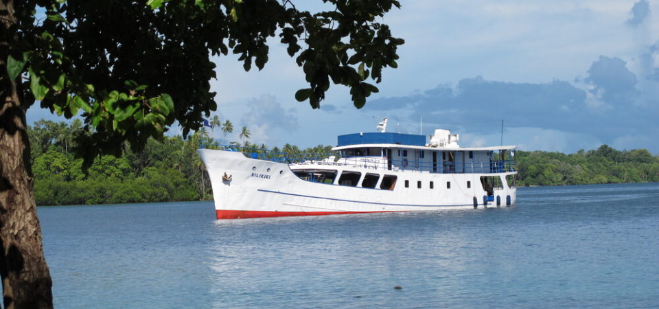 Emperor Bilikiki Ansicht Schiff