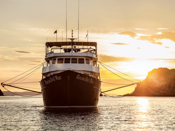Rocio del Mar im Sonnenuntergang von vorne
