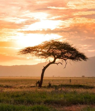 Nationalpark Kenia